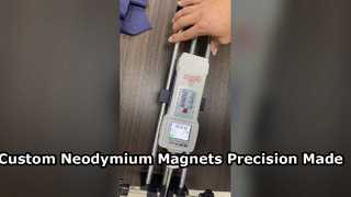 Magneti su ordinazione del neodimio